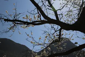 《美人沟》图片