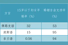 伊朗人是如何自黑的图片