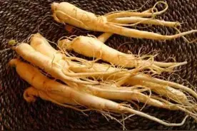 千草之灵，百药之长——人参图片