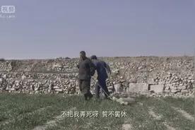 小麦为什么要用石磙碾压图片