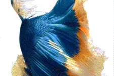 iphone 6S和6S plus振动感觉好奇怪有没有？图片