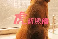 5招教你练成蝴蝶背，敢挑战吗？图片