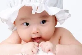 重新全面认识猪肝图片