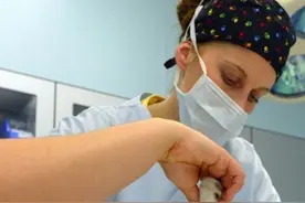 12只上手术台的动物们，看到万兽之王变成这样简直让人心碎！图片