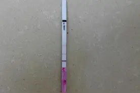 我多囊老公精子畸形，没想到这么快就怀上了！图片
