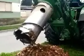 简单粗暴！这个挖树根的方法真不错！图片