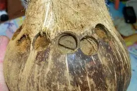 装饰改造——吃完的椰子创意改造成个性的手串图片