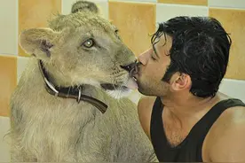 主流游戏本推介：游戏不能委屈自己，玩就要玩得起！图片