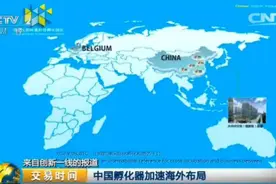 老牌创业孵化机构相继倒闭 中国孵化器路在何方？图片