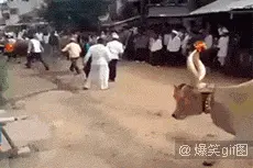 爆笑动态图：霍建华向林心如表白的真相（虐心）（第2105期）图片