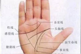 今天我们来了解了解“手纹”图片