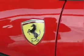 路边发现了一辆车，车标是个奔马标志，这是什么车啊