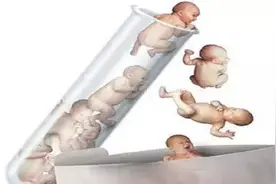 试管婴儿基本知识图片