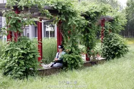 天津日报记者拍摄河东桥园自然生态美景图片