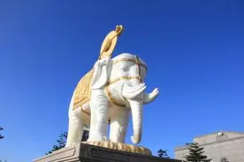 海云导师：为什么修行以后   命运会改变？图片