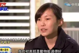 为么美国的街上很少看见流浪狗？图片