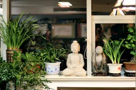 轻捻时光的荒凉，浅谈一声放弃图片