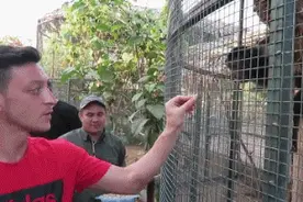 厄齐尔：我能喂猴子、长颈鹿、老虎，却喂不了......图片