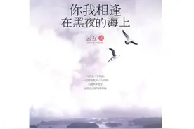 盘点那些小言作者之02：云五图片