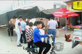 安徽亳州利辛农村结婚习俗：送大肥猪和羊去接新娘咯！视频封面