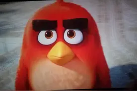 现在最火的卡通动物当属——愤怒的小鸟图片