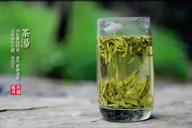 龙井、茶馆文化、茶文化图片
