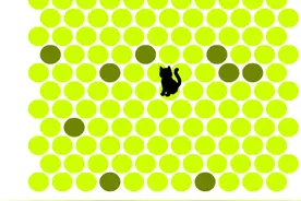 你所不知道的"404错误页面模板代码"技巧图片