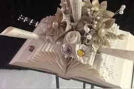 居然可以把书折成这样的艺术品，大部分人没见过。图片