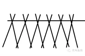 浅谈番茄如何搭支架图片