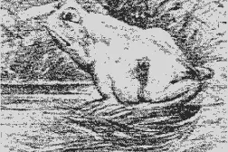 据说只有聪明人可以看出来的几张图，看你能看出来吗图片