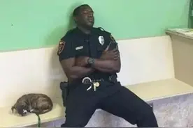 警察执勤时发现一只小流浪狗，接下来发生的故事超温馨！图片