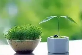 孤独少帅 | 历史是需要尊重和敬畏的图片