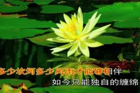 雷龙《红尘爱恋》，一个情字藏心间图片