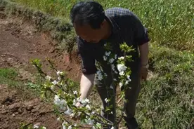 富源：煤老板转型记图片