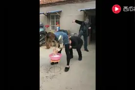 老公恶整媳妇太狠了，整成这样都不离婚，肯定是爱啊