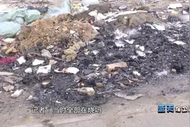 男子为销毁账单竟就近焚烧纸质垃圾，城管首开个人罚单！视频封面