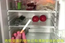 冰箱里放一支烟, 没想到有这么神奇的作用, 太实用了