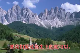 未婚村姑喝了山泉水，竟然怀孕了并生下一条蛇视频封面