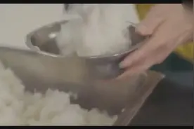 贫困生食堂只打一份白米饭加一碗免费汤看哭了多少人视频封面