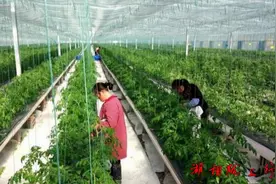 湖相陇上行：马云说，农业将成为下一个“房地产”，你信吗？视频封面