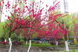 走进黔东南凯里金泉湖视频封面