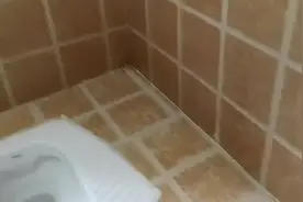 蟑螂的危害之缝隙里面爬进蟑螂怎么办