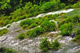 高过河:原始森林大峡谷的一场惊险漂流图片