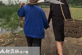 河北两位残疾老人种树“感动全球”，想卖的树却不敢卖了图片