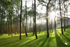 龙韵燃情篝火，邀您一起共舞图片