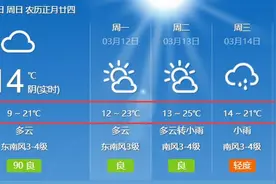 最新！合肥29个春游好去处！放风筝、烧烤、骑行……不用为去哪玩发愁了！图片