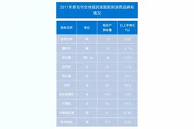 2017年青岛市超半数以上家庭拥有“私家车”图片