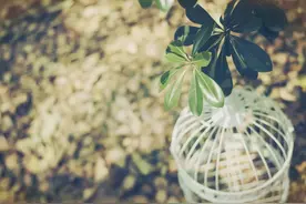 你的微信昵称暴露了你的性格！图片