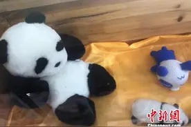留守妇女变“熊猫妈妈” 成都仿真熊猫走出国门图片