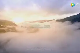 厉害！文山短片《太阳鸟母：舞之灵》入围世界民族电影节！图片